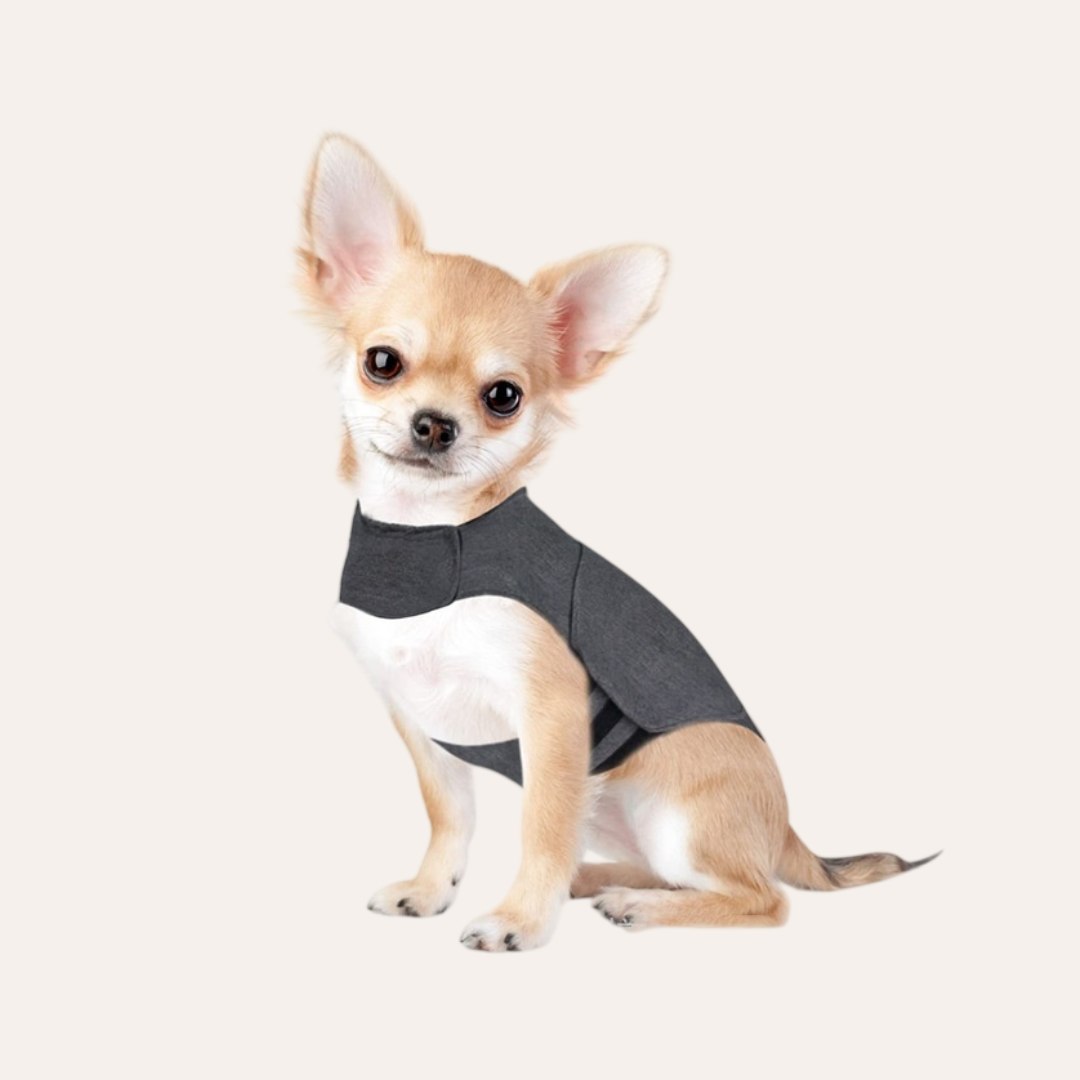 The Calm Wrap Anxiety Vest