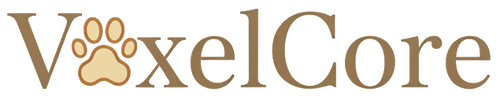 VoxelCore